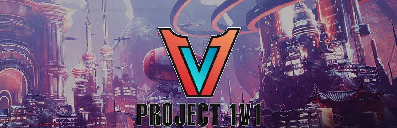 More information about "Project 1v1"