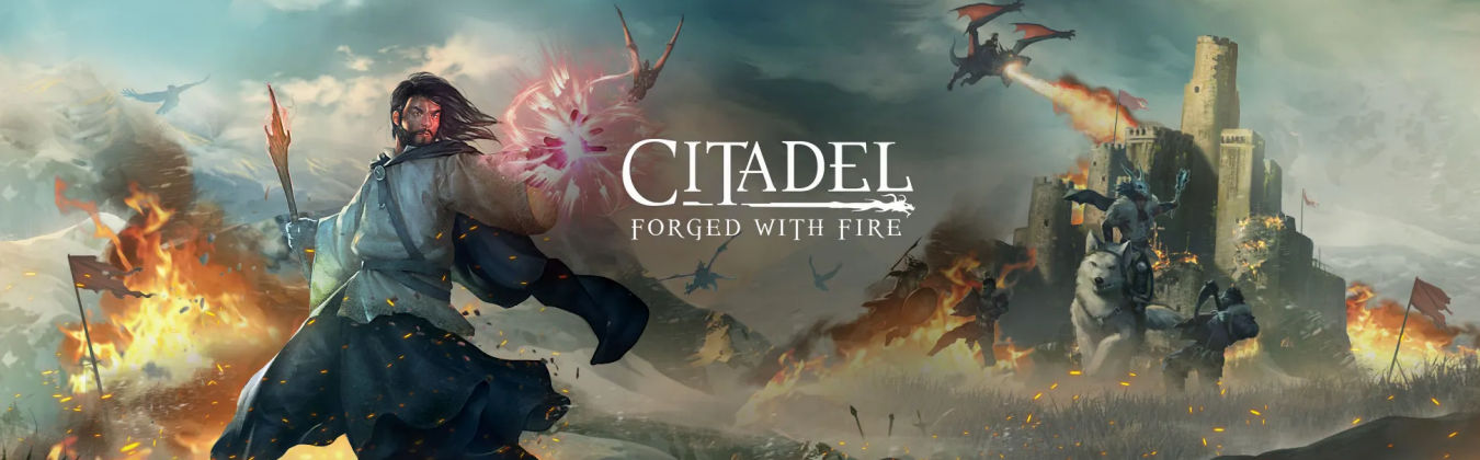 More information about "Citadel: Forged With Fire"