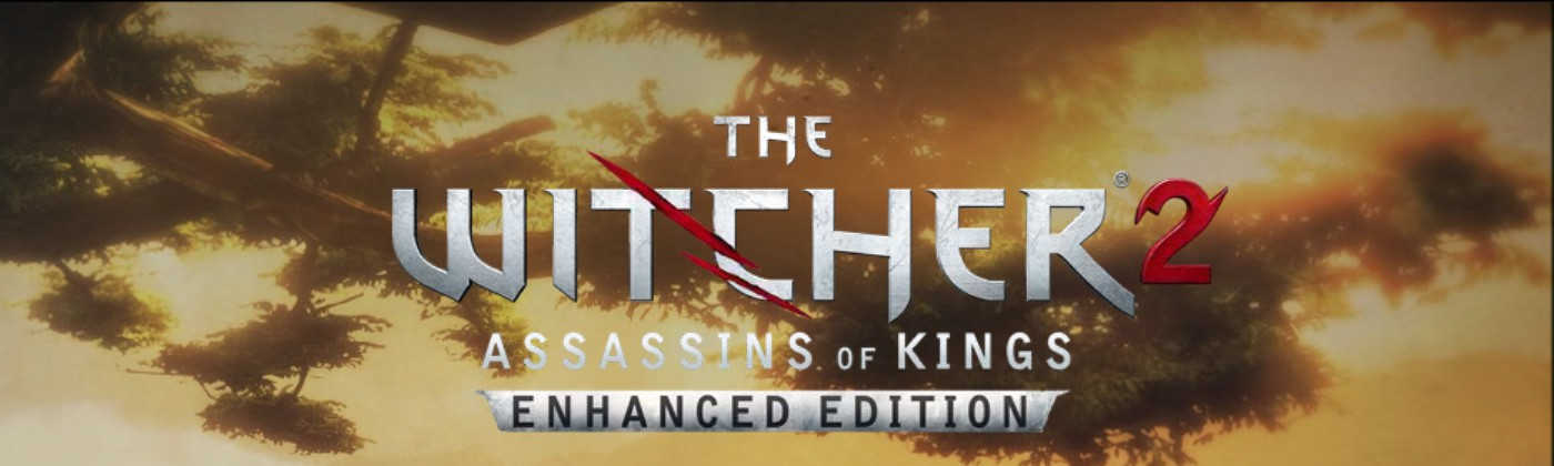 More information about "The Witcher 2: Assassins of Kings"